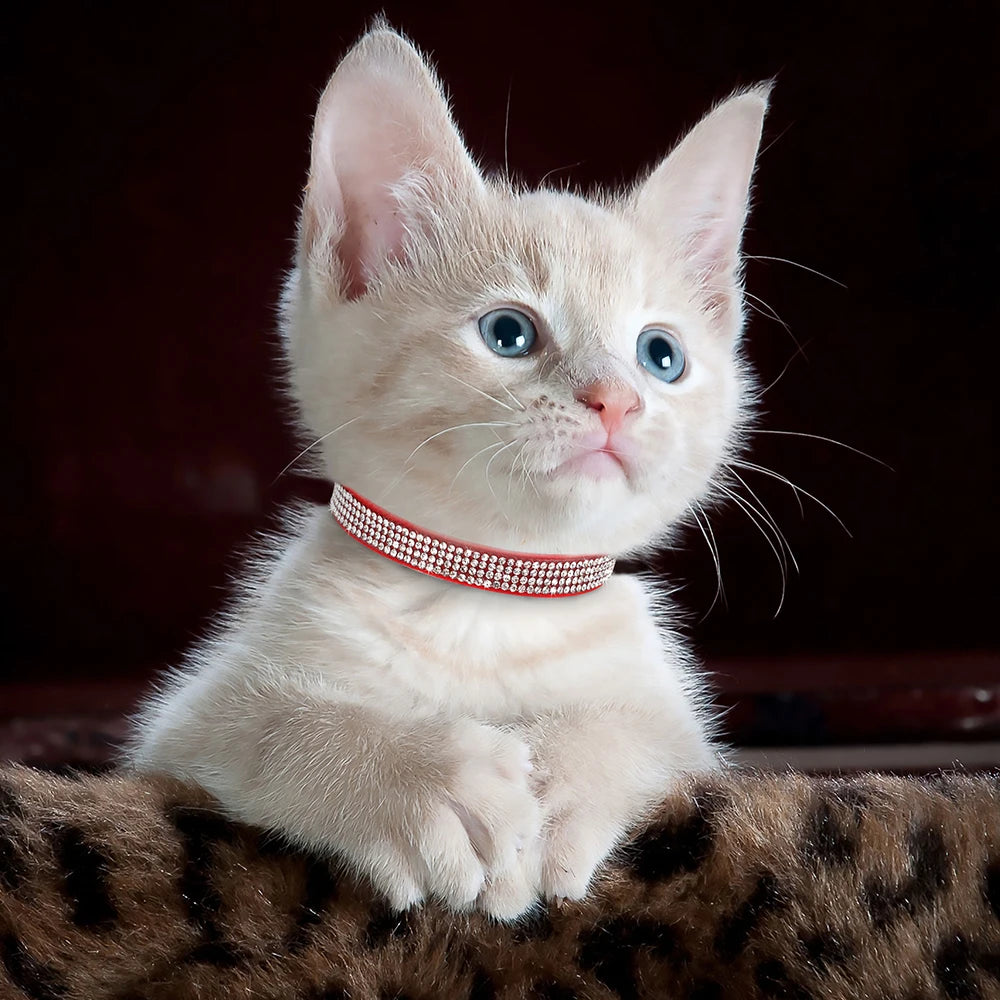 Leather Cat Collar Bling Rhinestone Cats Collars
