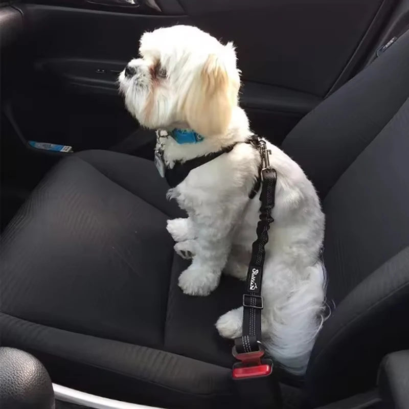 Advanced Dog Car Seat Belt