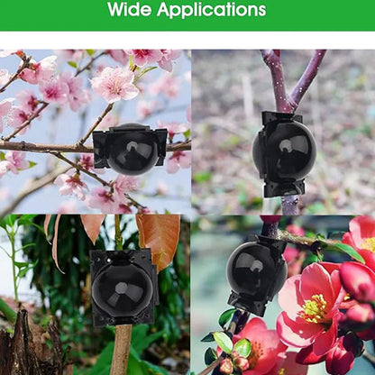 Plant Rooting Ball High Pressure Graft Breeding Case