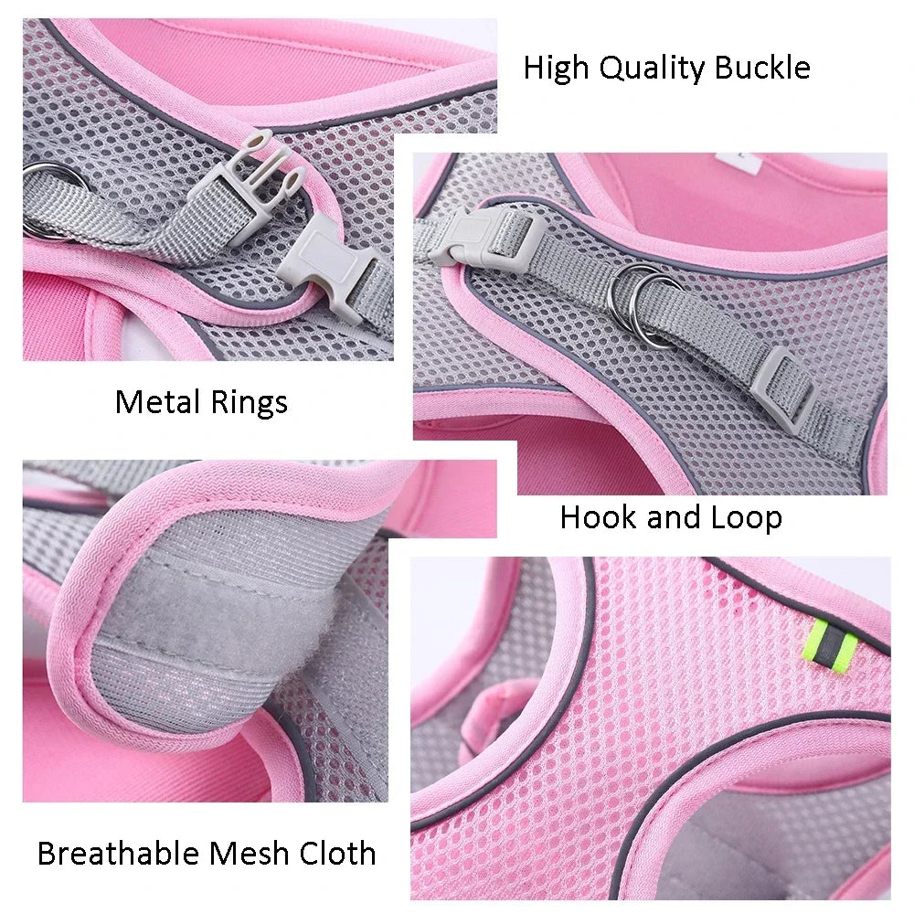 Cat Harness Leash Set Adjustable Dog Cat Collar
