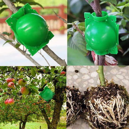 Plant Rooting Ball High Pressure Graft Breeding Case