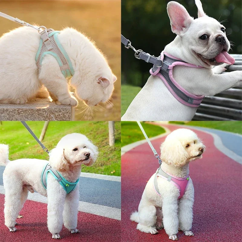 Cat Harness Leash Set Adjustable Dog Cat Collar